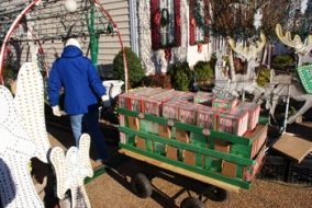 120,000 Candy Canes